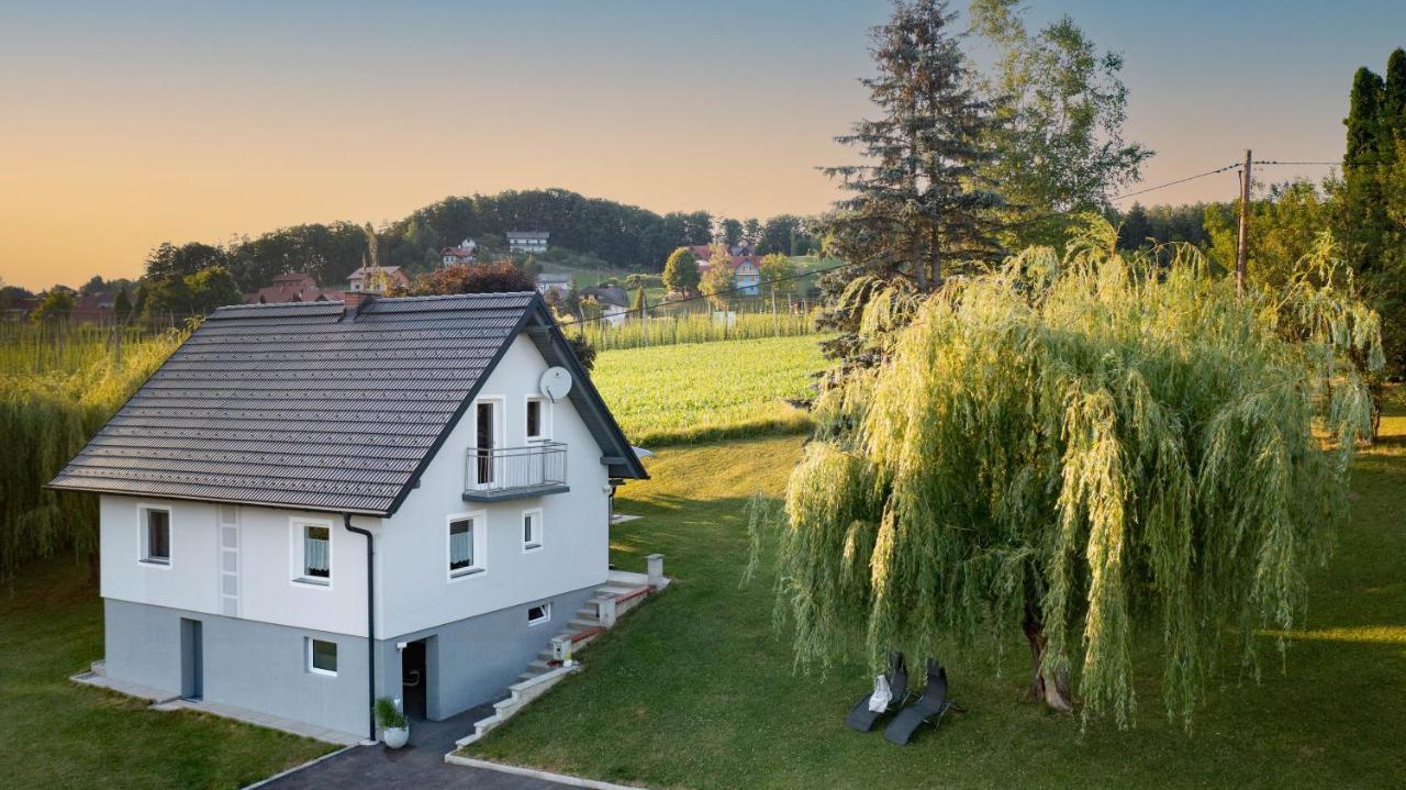 Ferienhaus Treissmann An Der Weinstrasse ليوتسشاخ المظهر الخارجي الصورة