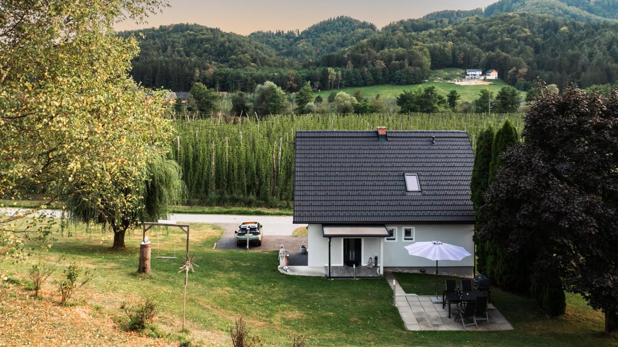 Ferienhaus Treissmann An Der Weinstrasse ليوتسشاخ المظهر الخارجي الصورة